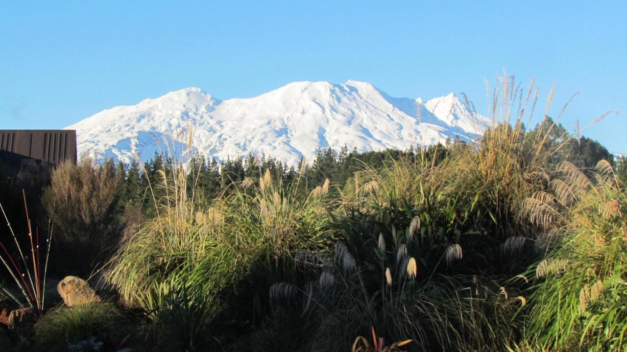 ตองการิโร สวีท Bed & Breakfast โอฮาคูเน ภายนอก รูปภาพ